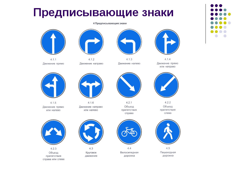 Знаки пдд в картинках с расшифровкой предписывающие